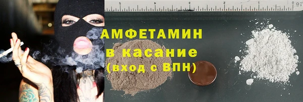 шишки Гусев