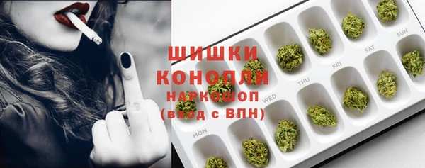 шишки Гусев