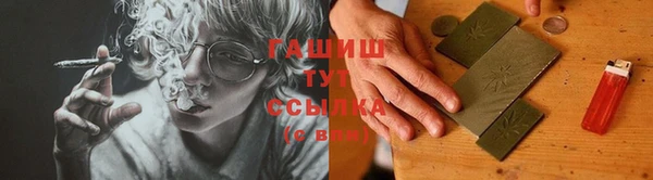 шишки Гусев