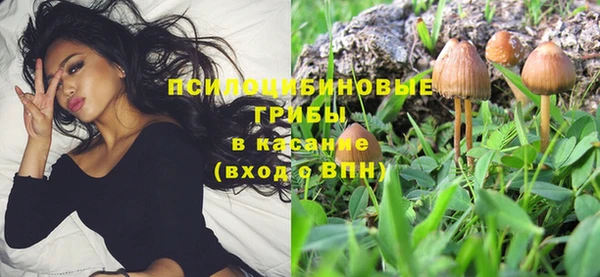 шишки Гусев