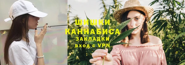 ГАЛЛЮЦИНОГЕННЫЕ ГРИБЫ Гусиноозёрск