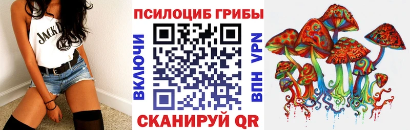 Псилоцибиновые грибы Psilocybe  Георгиевск 