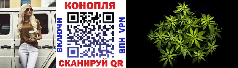 Конопля Ganja  Георгиевск 